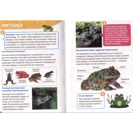 Энциклопедия для маленьких почемучек. Домашние питомцы