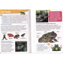 Энциклопедия для маленьких почемучек. Домашние питомцы