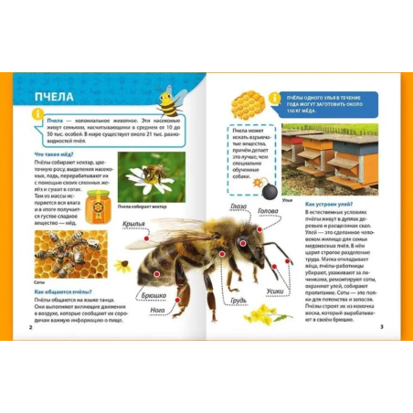 Энциклопедия для маленьких почемучек. Насекомые