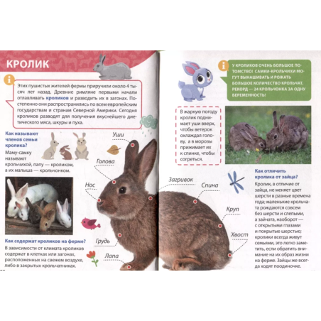 Энциклопедия для маленьких почемучек. Животные фермы