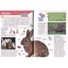 Энциклопедия для маленьких почемучек. Животные фермы