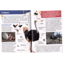 Энциклопедия для маленьких почемучек. Животные фермы