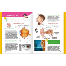 Энциклопедия для маленьких почемучек. Тело человека