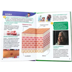 Энциклопедия для маленьких почемучек. Тело человека