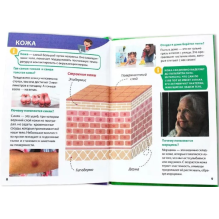 Энциклопедия для маленьких почемучек. Тело человека