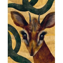 Краткая история человечества глазами животных