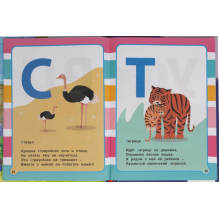 Азбука и счет в стихах. Мамы и малыши. Детская библиотека.