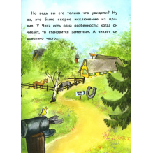 ДХЛ. Маленькое привидение. Счастливая подкова