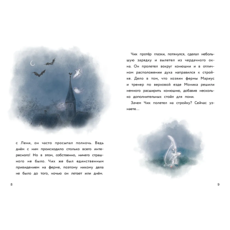 ДХЛ. Маленькое привидение. Первый полёт