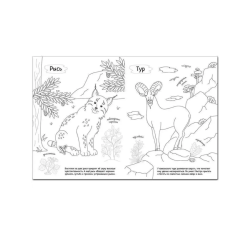 Раскрась Россию. Книжка с наклейками. Кавказ