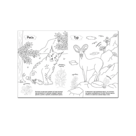 Раскрась Россию. Книжка с наклейками. Кавказ