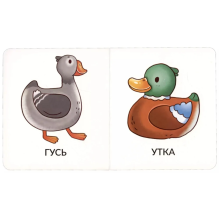 Мои первые слова. Домашние животные