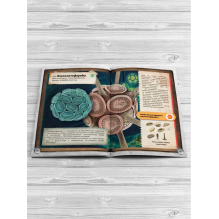 Мир под микроскопом. 4D книга с дополненной реальностью