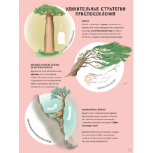 Тайны деревьев