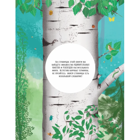 Тайны деревьев