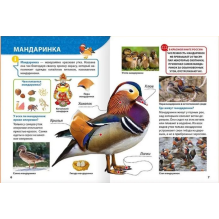 Энциклопедия для маленьких почемучек. Красная книга