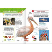 Энциклопедия для маленьких почемучек. Красная книга