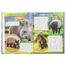 Энциклопедия "Аксолотль. Самые удивительные животные"