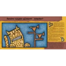 Кошачьи почему (уцененная)