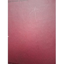 Кошачьи почему (уцененная)