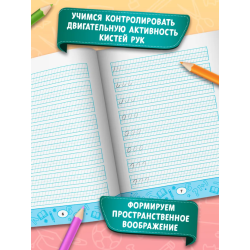 Образцовые прописи: постановка и коррекция почерка