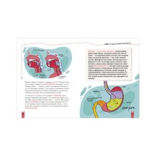 Этому в школе не научат! Реальная биология. Как устроено тело человека