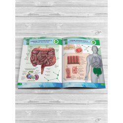 Анатомия человека. 4D книга с дополненной реальностью