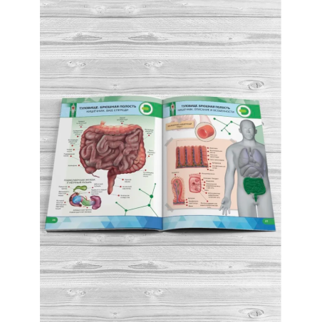 Анатомия человека. 4D книга с дополненной реальностью