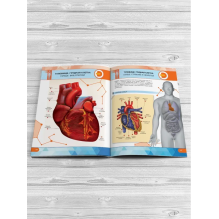 Анатомия человека. 4D книга с дополненной реальностью
