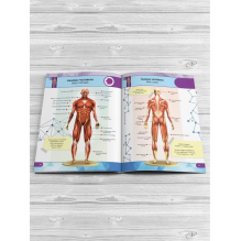 Анатомия человека. 4D книга с дополненной реальностью