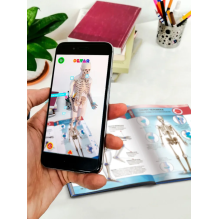 Анатомия человека. 4D книга с дополненной реальностью