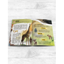 Знакомство с животными. 4D книга с дополненной реальностью (твердая)