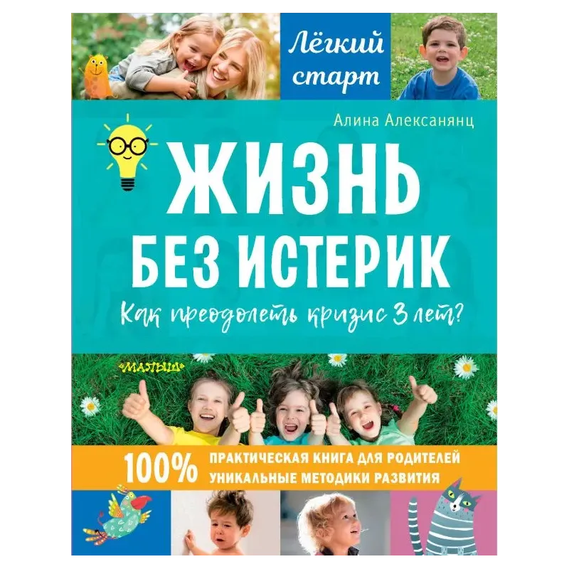 Жизнь без истерик. Как преодолеть кризис 3 лет?