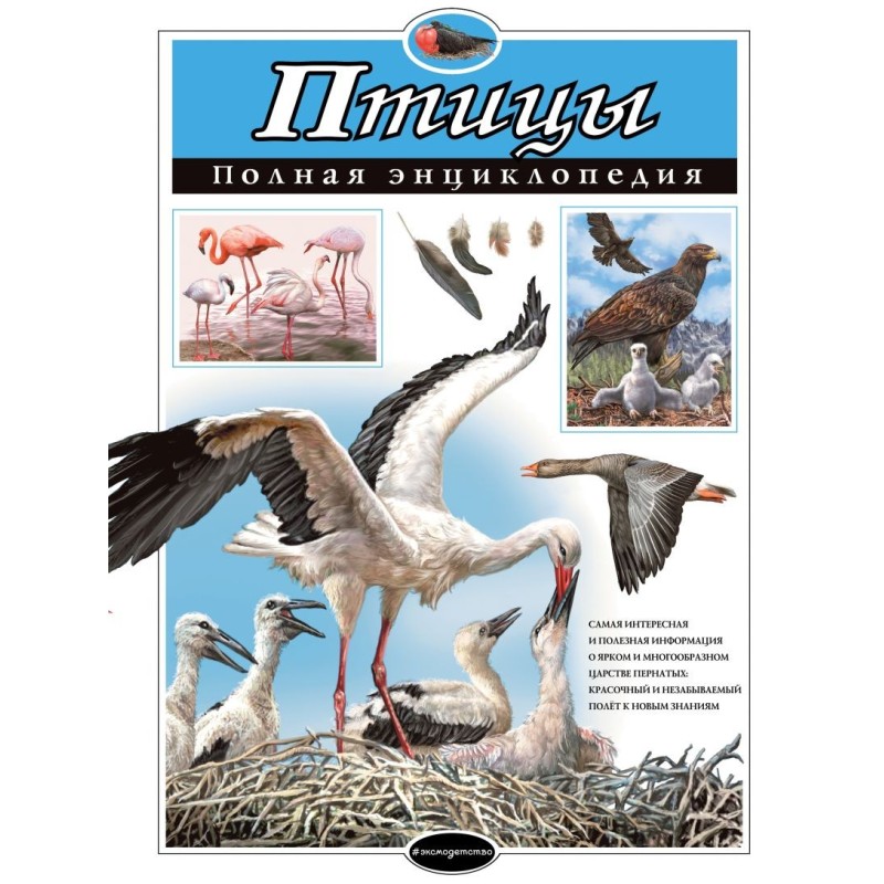 Птицы. Полная энциклопедия Птицы. Полная энциклопедия