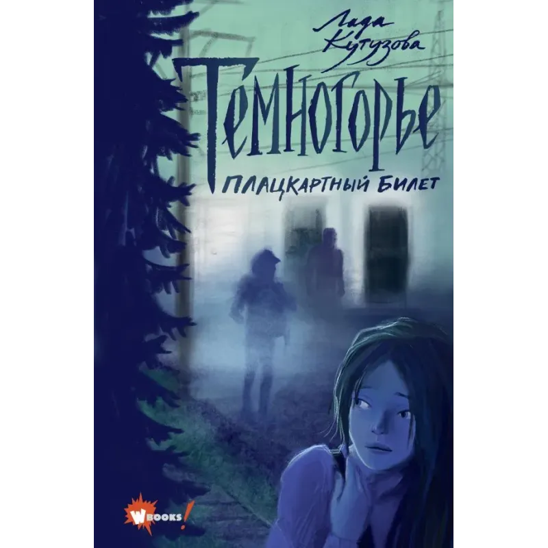 Темногорье. Плацкартный билет