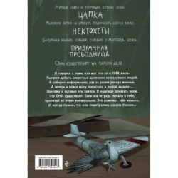 Плюшевая голова