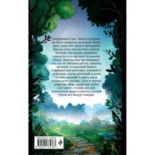 Школа пяти Башен (1)