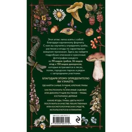 Лесной гид: грибы, ягоды, травы. Карманный атлас-определитель