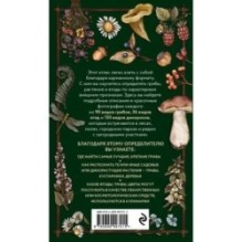 Лесной гид: грибы, ягоды, травы. Карманный атлас-определитель