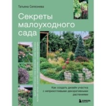Секреты малоуходного сада. Как создать дизайн участка с неприхотливыми декоративными растениями
