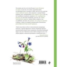 Жужжание жука. Полевые и не очень дневники орнитолога