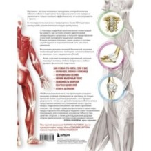 Анатомия растяжки. Иллюстрированное руководство для развития гибкости мышц и подвижности суставов