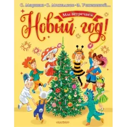 Мы встречаем Новый год!