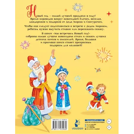 Мы встречаем Новый год!