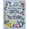 Цветы и растения