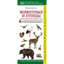 Животные и птицы. Дикие обитатели русского леса