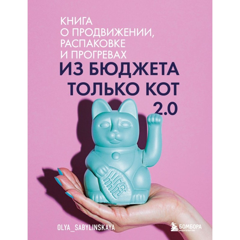 Из бюджета только кот 2.0