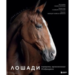 Лошади. Портреты, вдохновленные Рембрандтом. Эксклюзивный фотоальбом