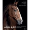 Лошади. Портреты, вдохновленные Рембрандтом. Эксклюзивный фотоальбом
