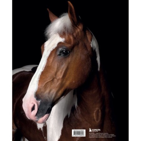 Лошади. Портреты, вдохновленные Рембрандтом. Эксклюзивный фотоальбом